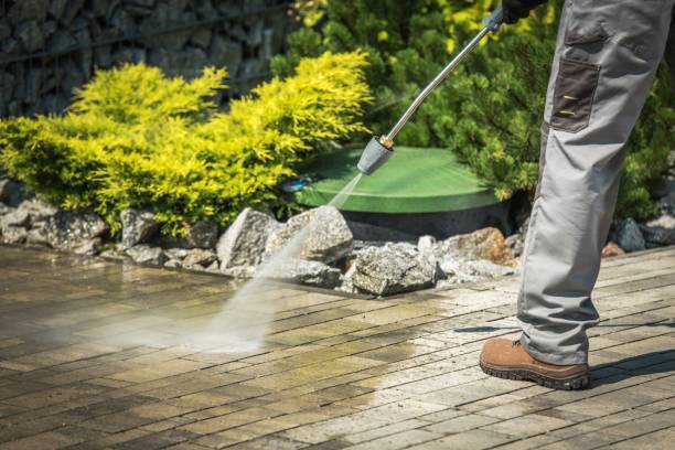 Best Pre-Holiday Cleaning  in Walcott, IA