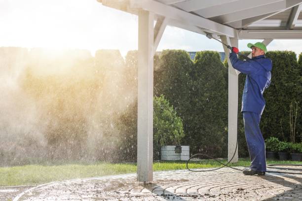 Best Warehouse Cleaning  in Walcott, IA