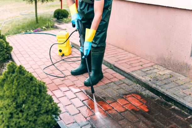 Best Solar Panel Cleaning  in Walcott, IA