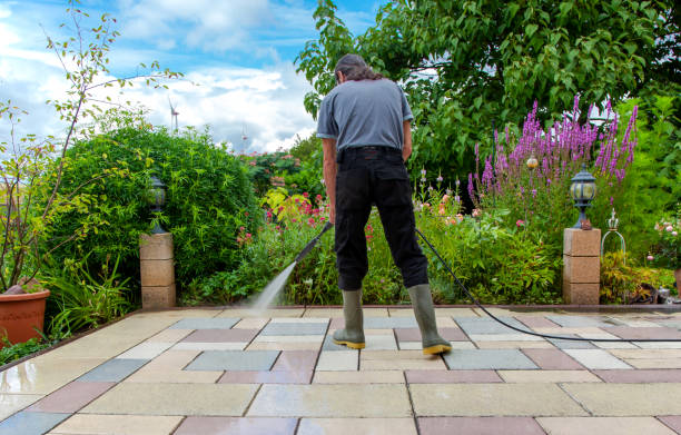 Best Fence Cleaning  in Walcott, IA