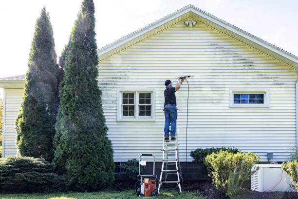 Best Building Exterior Washing  in Walcott, IA