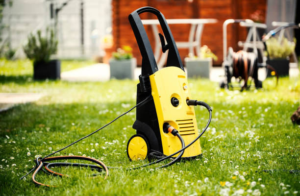 Best Animal Enclosure Cleaning  in Walcott, IA